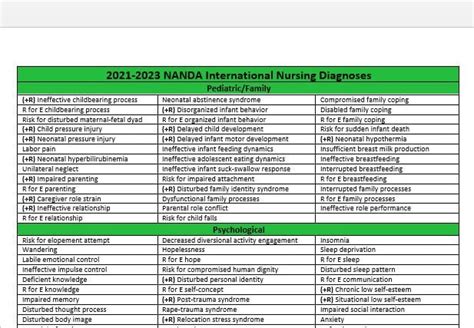 Nanda Organized List Categorized Nursing Diagnosis Nandas Etsy