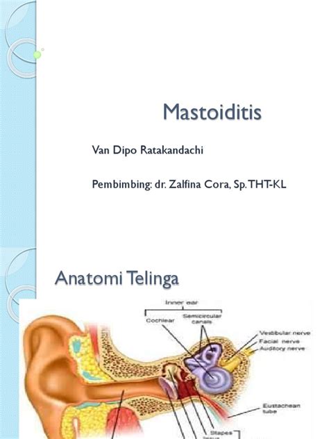 Mastoiditis Infeksi Tulang Mastoid Akibat Otitis Media Pdf