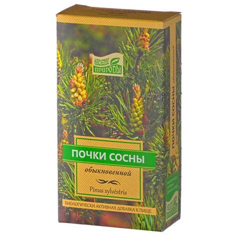 Сосна почки, 50 г. Купить в Москве в фито магазине Дом Трав.