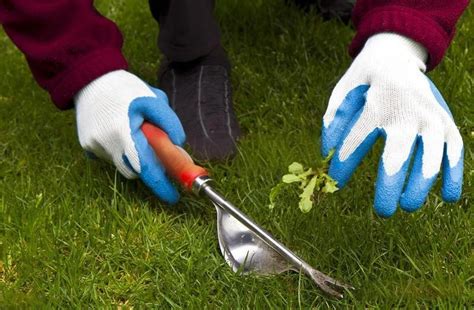 Gardening Gloves Your Best Companion Everpro Gloves