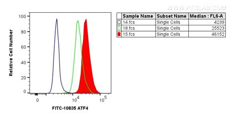 Atf4 Antibody Fitc 10835 Proteintech