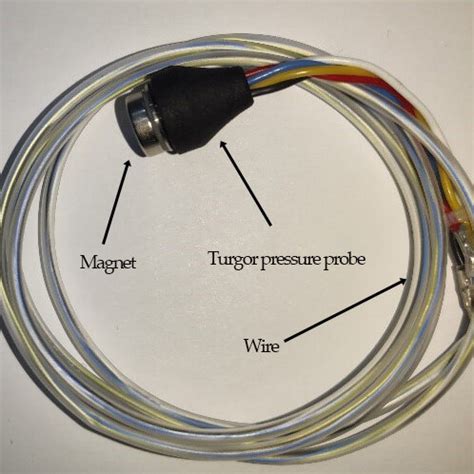 sensor system structure diagram  scientific diagram