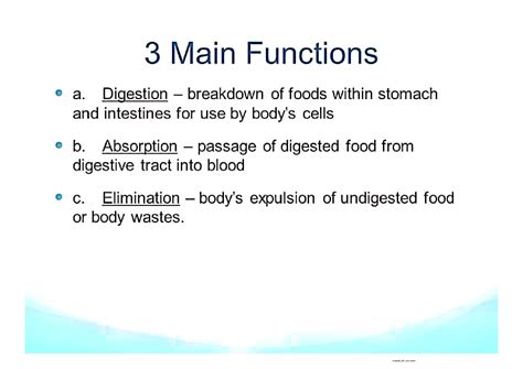 solution main functions  human digestive system studypool