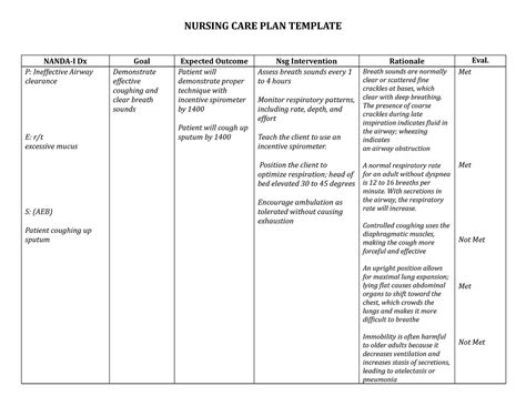 Nanda Nursing Care Plan Examples Template Collections The Best Porn