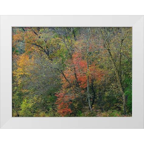 Fitzharris Tim 14x12 White Modern Wood Framed Museum Art Print Titled