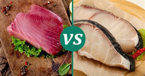 Shark Meat Vs Tuna What Should You Choose