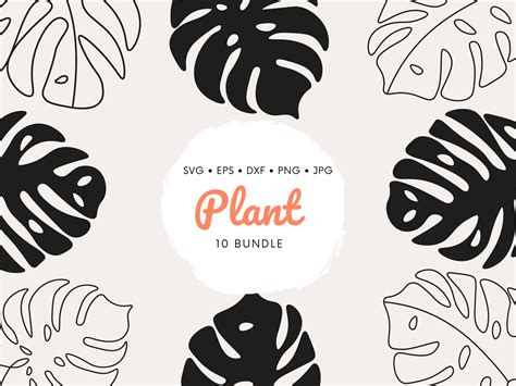 Monstera Leaf Svg Monstera Svg Monstera Deliciosa Monstera Etsy España