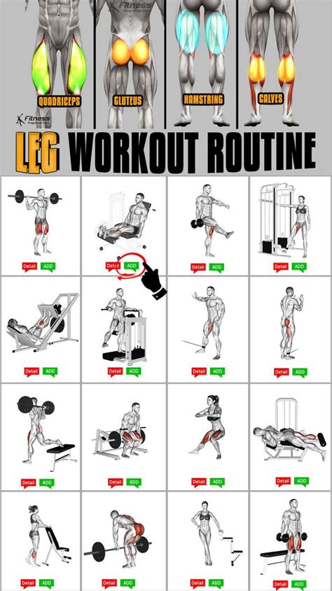 LEG WORKOUT FOR BUILDING MUSCLE | Leg workout routine, Workout routine ...