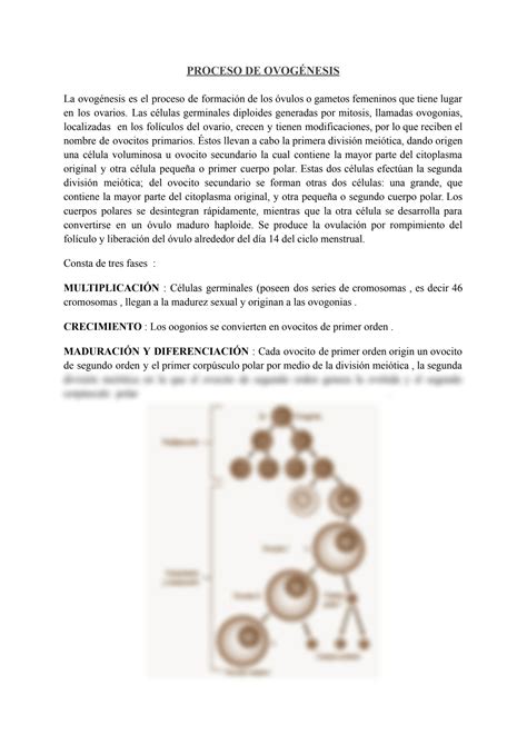 Solution Proceso De Espermatog Nesis Y Ovog Nesis Removed Studypool