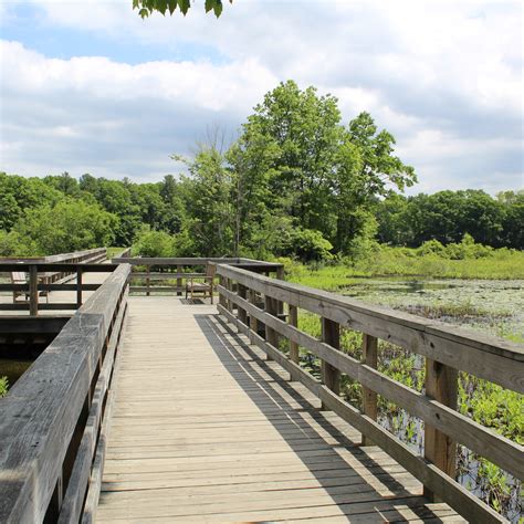 The Nature Trail and Ocean Spray Cranberry Bog | Patriot Place