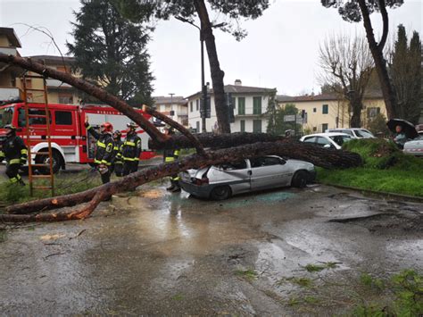 Bagno A Ripoli Albero Cade Su Un Auto A Grassina