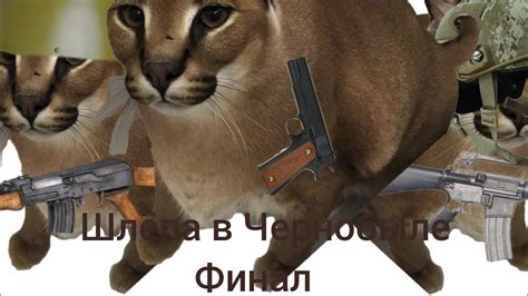 Шлёпа в Чернобыле ФИНАЛ - YouTube