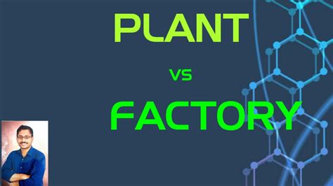 What Is Difference Between Factory And Plant More REF