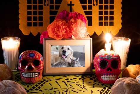 Ofrenda de muertos para mascotas Cuándo se pone y qué elementos debe