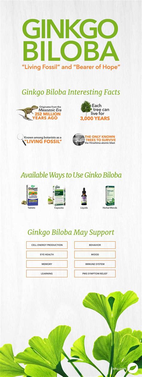 Ginkgo Biloba