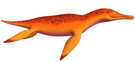 Pliosaurus Dinosaur Train Wiki Fandom