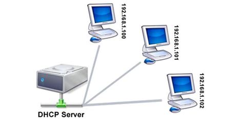 Overview Of Dynamic Host Configuration Protocol Dhcp For Beginners