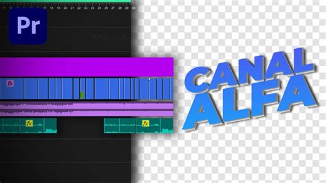 Como EXPORTAR Con FONDO TRANSPARENTE Premiere Pro Tutorial YouTube