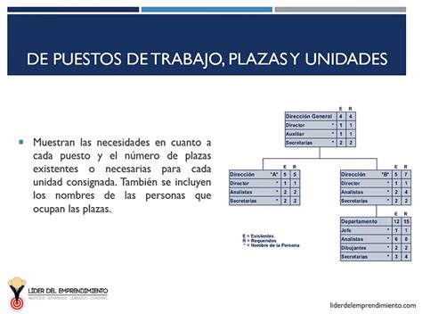 Organigramas y su clasificación Líder del Emprendimiento