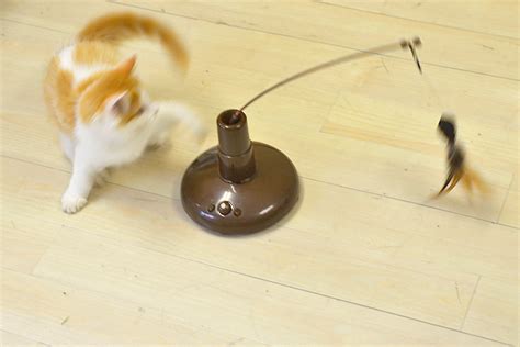 猫が喜ぶおもちゃはこれ！ 試してわかった傑作猫用グッズ20選【猫を愛するすべての人へ】 価格マガジン