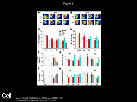 Activity Dependent Matching Of Excitatory And Inhibitory Inputs During Refinement Of Visual