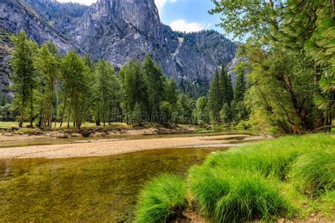 Green Grass And Trees On The Right With The Clear Clean Merced River In The Middle With Sentinel