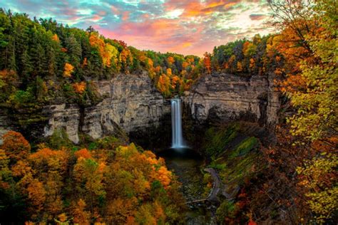 Finger Lakes Fall Foliage: #1 Best Place for Vivid Colors!