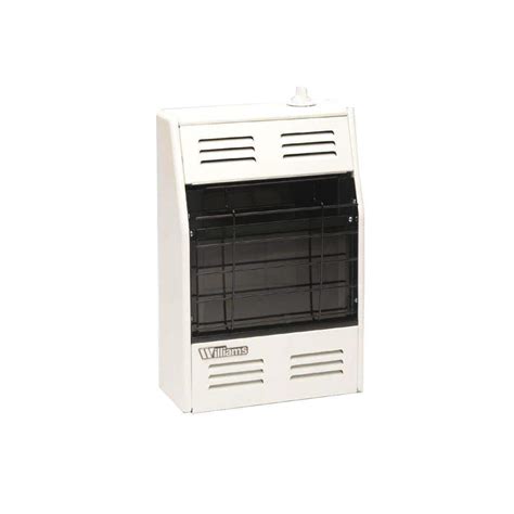 Williams Btu Hr Direct Vent Furnace Natural Gas Heater With Wall