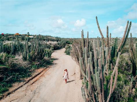 Things To Do In Aruba Beyond Beaches