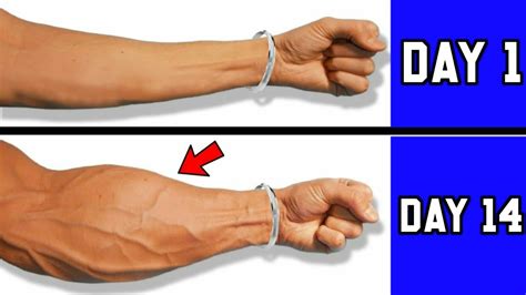 How To Build Bigger Forearms Home Workout Without Equipment 10