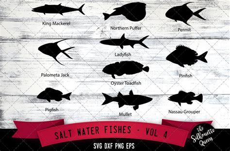 Salt Water Fishes Svg V4 King Mackerel Palometa Jack Pig Etsy Salt