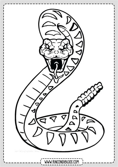 Serpiente Cascabel Para Colorear Rincon Dibujos Dibujo De Serpiente