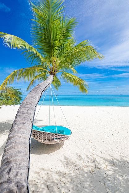 Fondo De Playa Tropical Como Paisaje De Verano Con Columpio De Playa O