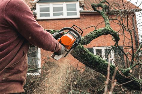 Stihl Chainsaw Review Price Parts And Specs