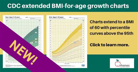 Human Growth And Development Chart