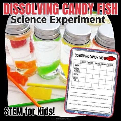 Candy Corn Experiment For Fall Science Little Bins For Little Hands