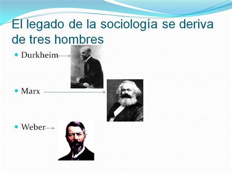 Mendoza Avalos Luis Anuuar El Legado De La Sociologia