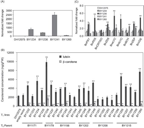 B Napus Expressing The Arabidopsis Cpsrp54 Gene A Semi Quantitative