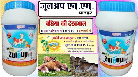 Zule Up Hm Powder Uses In Hindi Veterinary Medicine Vetpowder Bypass