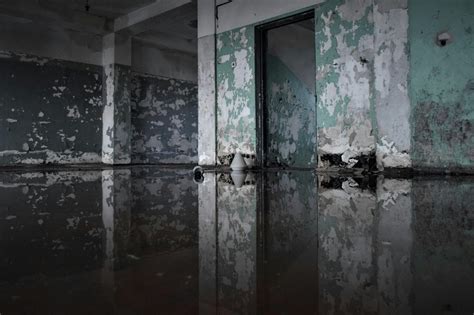 How Water Damage Can Compromise Your Home’s Structural Integrity