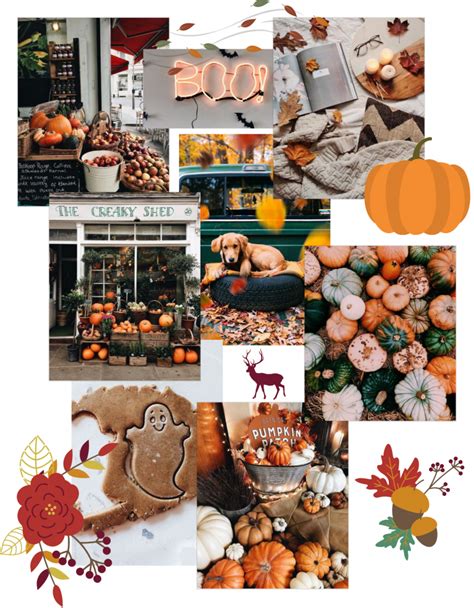 2019 Autumn Mood Board Brine And Books