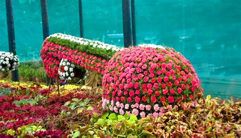 Lalbagh Flower Show January Dates Timings Theme Ticket Price Online