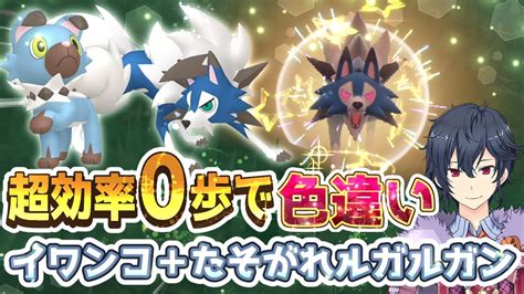 【ポケモンsv】イワンコ・たそがれルガルガン色違い厳選方法【ポケモンスカーレットバイオレット】 ポケモン関連情報のまとめ動画