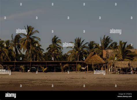 Tropical Tranquility A Traditional Pacific Mexican Palapa Crafted