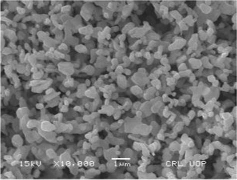 Sem Image Of Synthesized Copper Oxide Nanoparticles Download