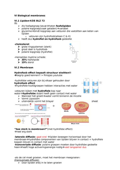 Biological Membranes Samenvatting Bouwstenen Van Het Leven VI