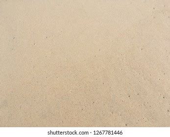 Closeup Sand Floor Texture Background Stock Photo 1267781446 | Shutterstock