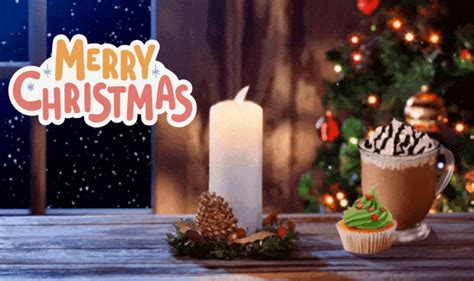 Get The Best Christmas Coffee GIFs and Memes