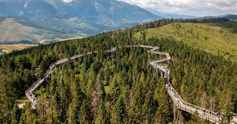 Från Krakow Tur till Slovakien Treetop Walk och termalbad GetYourGuide