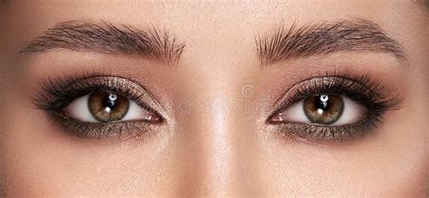 Beautiful Female Eyes With Long Eyelashes Stock Image Image Of